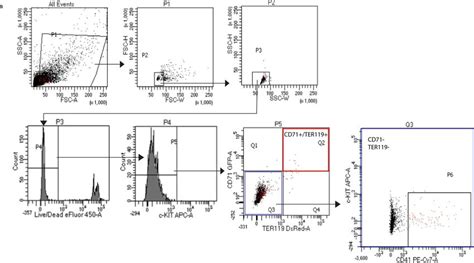 Image result for Marimo Cell Gating Flow Cytometry