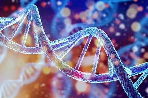 Image result for Human Genetics