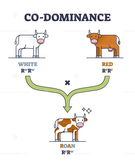Codominance Genetics Examples に対する画像結果