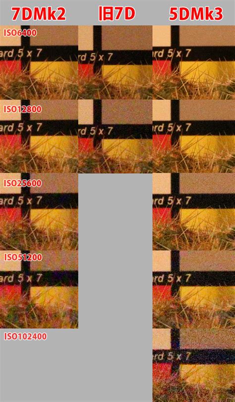 Image result for 5D Mark 4 vs 7D Mark 2