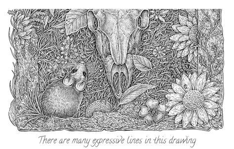 Image result for Expressive Line Drawing