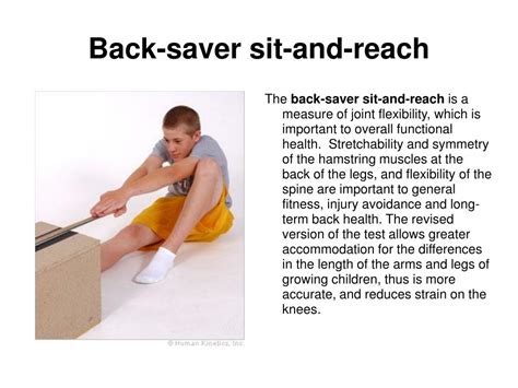 Image result for 20 Meter Pacer Test Score Sheet