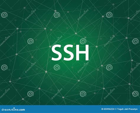 Image result for Secure Shell Server