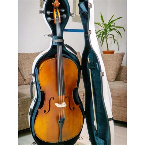 Image result for Cello Case