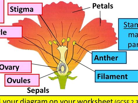 Make a Chart On Pollination in Flower Class 7 に対する画像結果