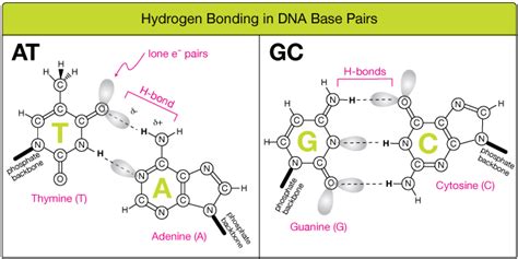Intermolecular Forces Model of Water に対する画像結果