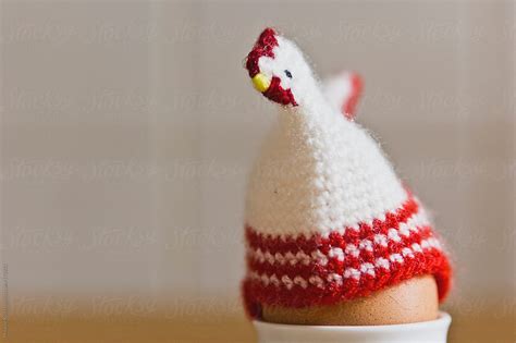 Image result for Chicken Egg Warmer Patern