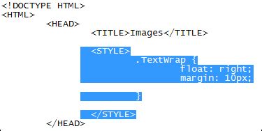 Image result for Image and Text HTML and CSS Git