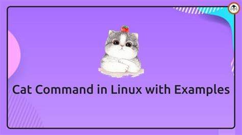 Image result for Cat Named Linux Shell Command
