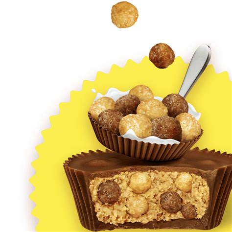 Image result for Reese's Fun Foods