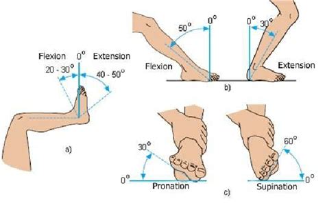 Dorsi And Plantar Flexion Angles Ankle Dorsiflexion. A Critical Part