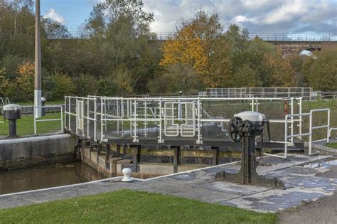 Afbeeldingsresultaten voor Held Back Vyond