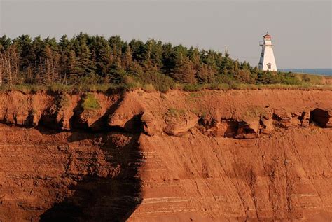 Image result for Tryon Lights