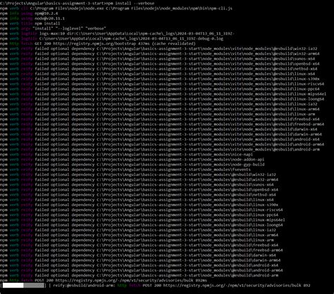 Toradh íomhá ar Angular Install NPM