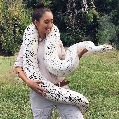 Image result for Burmese Python Cute