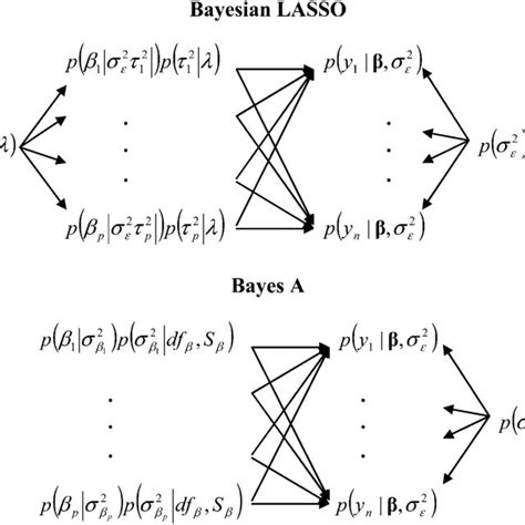 Image result for Bayesian Model Structure