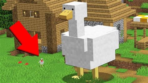 Toradh íomhá ar Cursed Item Minecraft