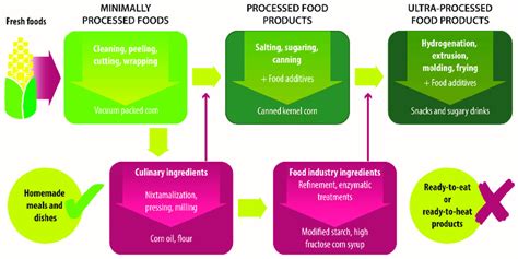 Industrial processing stages, from fresh food to ultra-processed food ...