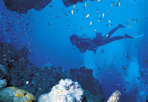 Image result for deep ocean divers