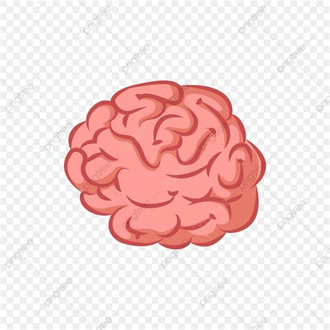 Image result for Simple Think Cartoon Brain