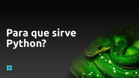 Image result for Que Hace Python