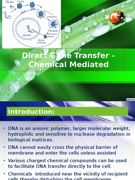 Image result for Direct Transfer Chem Example