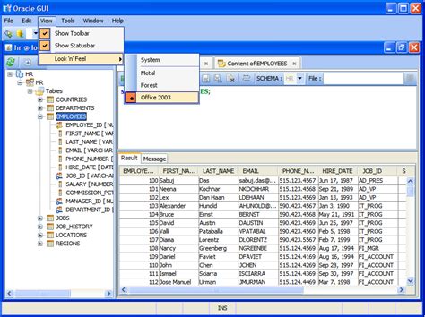 Image result for Oracle Multimedia GUI