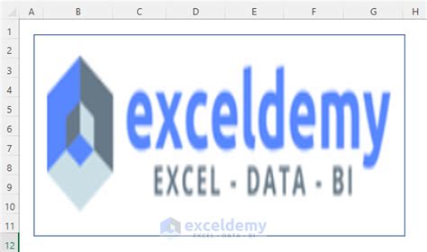 Image result for Excel Transparent Background