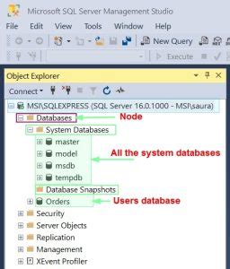Image result for SQL Server Instance Name! Find
