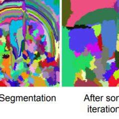 Image result for Steps of Selective Search Computer Vision