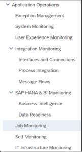 Image result for SAP Solution Manager Job