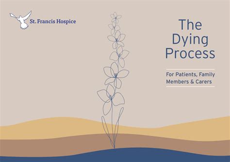 CPB Dying Process に対する画像結果