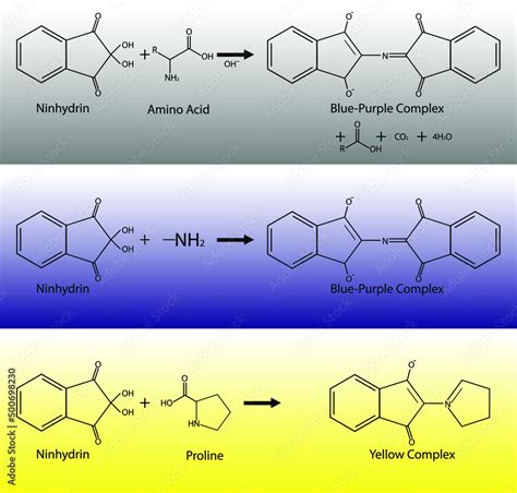 Prolin Yellow Ninhydrin に対する画像結果