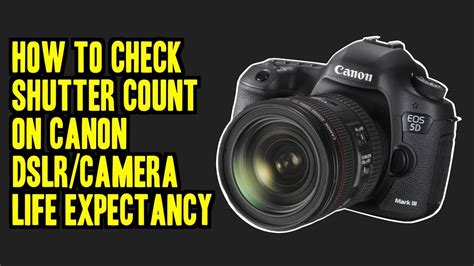 Image result for How to Get Shutter Count On 7D