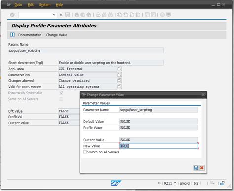 Image result for SAP GUI Settings