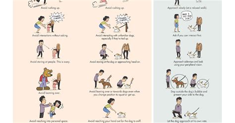 How to Greet a Dog Infographic ಗಾಗಿ ಇಮೇಜ್ ಫಲಿತಾಂಶ