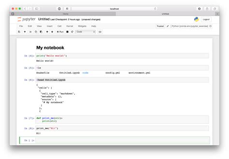 Toradh íomhá ar Jupyter Notebook Windows Download