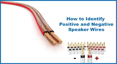 Toradh íomhá ar Check Speaker for Negative and Positive