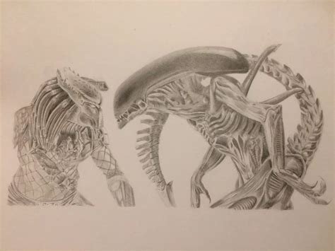 Alien and Predator Drawing に対する画像結果