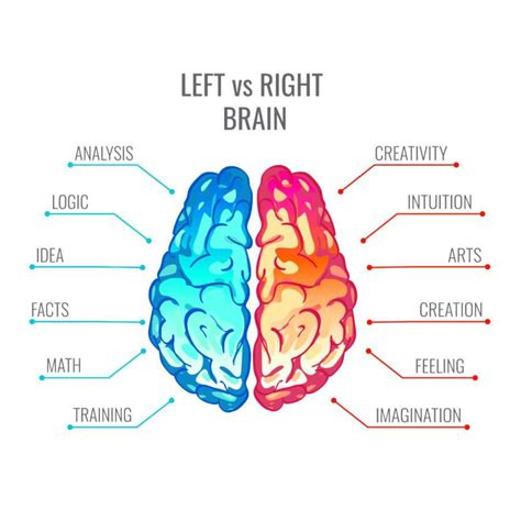 Image result for Left Brain Right Brain Test