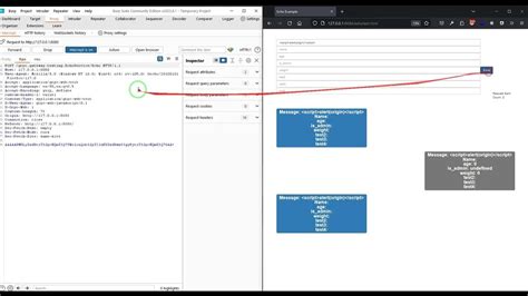 Toradh íomhá ar Using Burp Suite for Pentesting