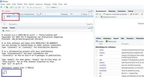 Image result for R Code Execution Diagram