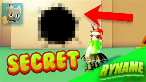 Image result for Secrets in Pet Simulator 2