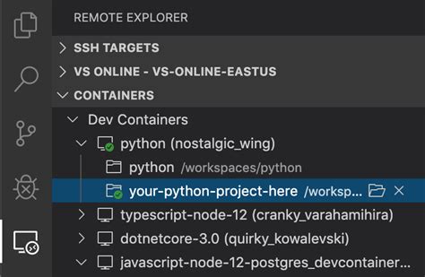 Image result for Python Windows Container