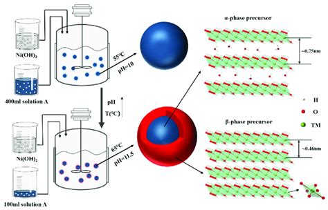 Image result for Core-Shell Tubular Structure