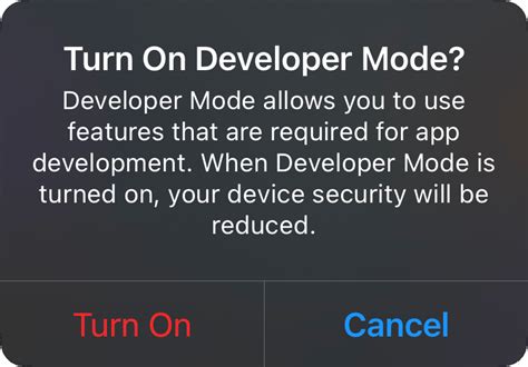 Image result for Developer Mode Icon
