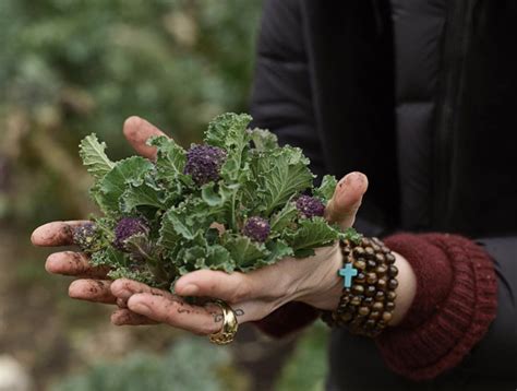 Toradh íomhá ar Biodynamic Agriculture