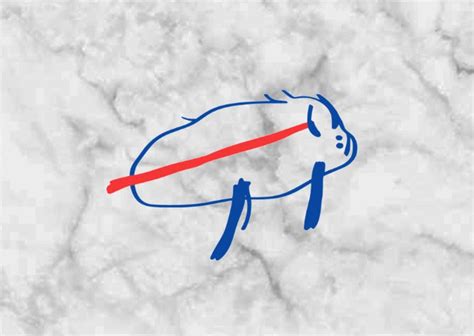 Josh Allen Buffalo Bills Logo に対する画像結果