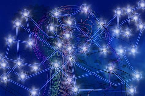 Network in Brain Art PNG に対する画像結果