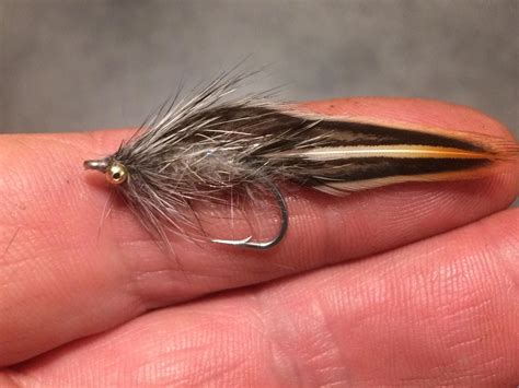 Image result for Micro GameChanger Fly